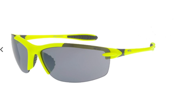 Sunglasses Goggle E660-2