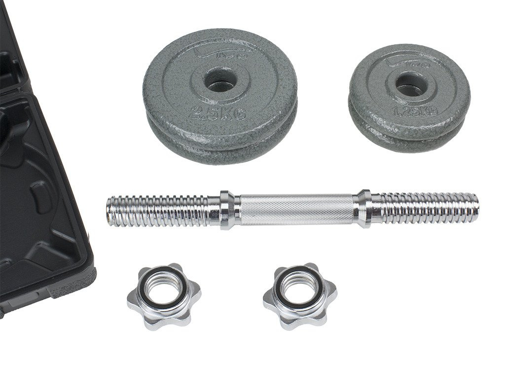 Single Castiron Dumbbell 10 kg + Carry Case Gym Equipment Dumbbells