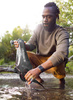 Lifestraw Peak Series Flex Gravity Water Filter System 3L - grey