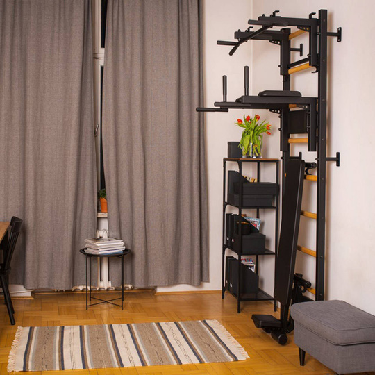 BenchK 713B WALL BAR HOME GYM SWEDISH LADDER METAL LADDER
