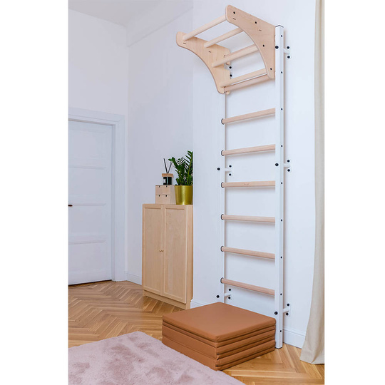 BenchK 310W multifunctional wall bar