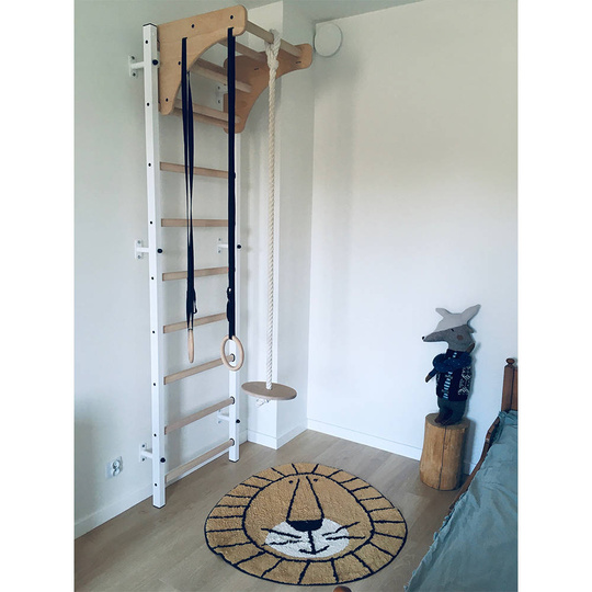 BenchK 310W multifunctional wall bar