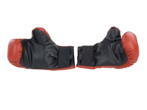 Junior Boxing Gloves RB 09 Shin-do Red