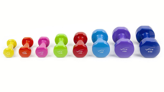 Vinyl Dumbbell 2 kg Red - sold single