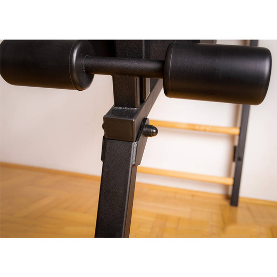 BenchK 713B WALL BAR HOME GYM SWEDISH LADDER METAL LADDER